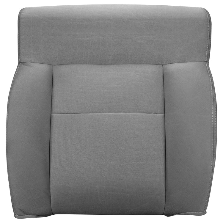 Front view of driver in Dillo Wolf Gray for Ford F150