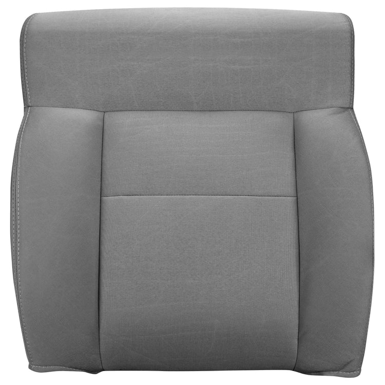 Front view of driver in Dillo Wolf Gray for Ford F150