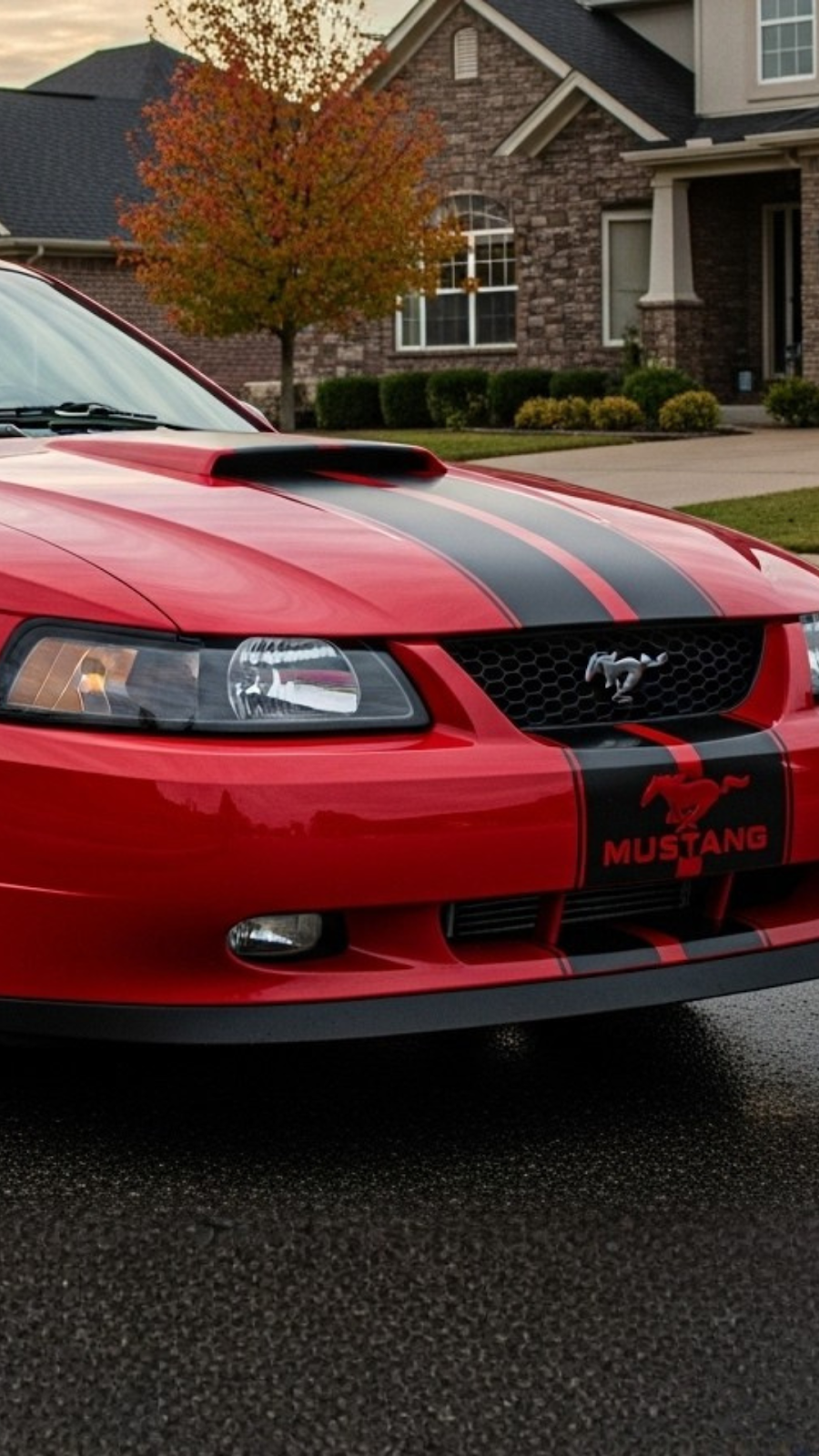 Mustang Seat Covers