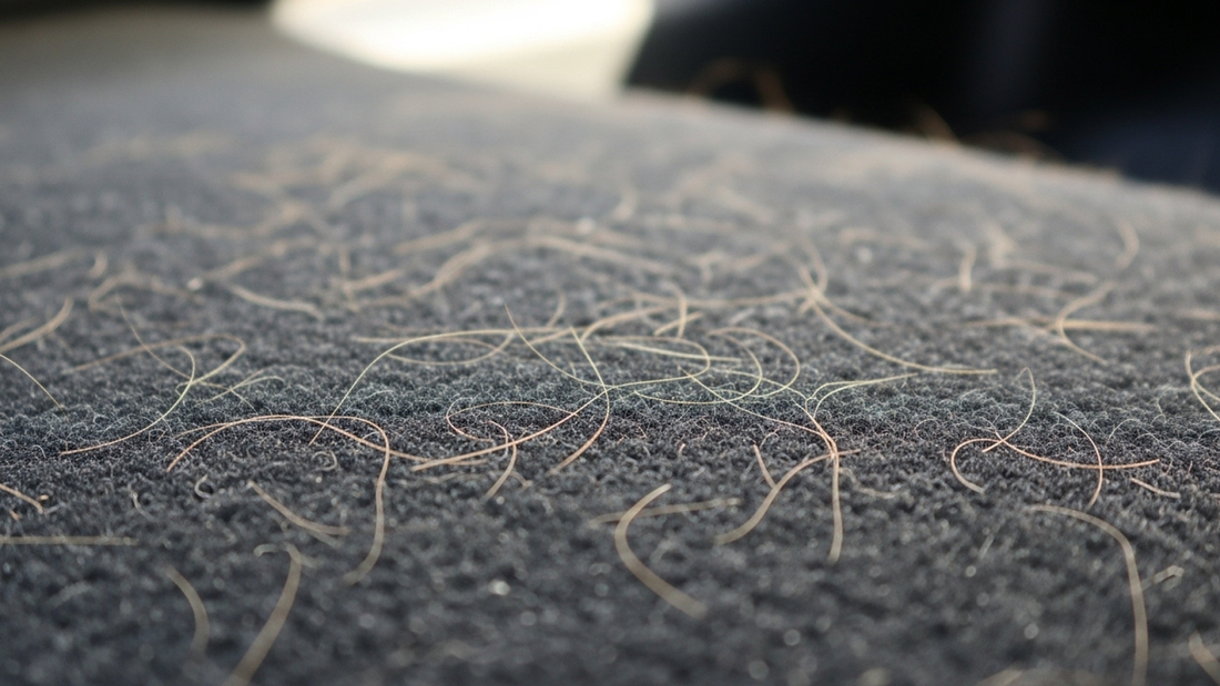 How To Get Dog Hair Out Of Vehicle Seats And Carpets Like A Pro: Tools & Tips
