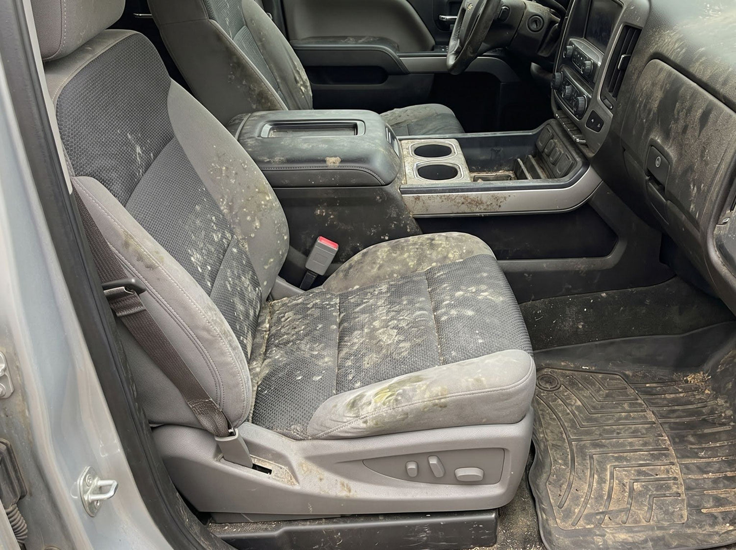 How To Get Mold Out Of Car Seats And Vehicle Interior