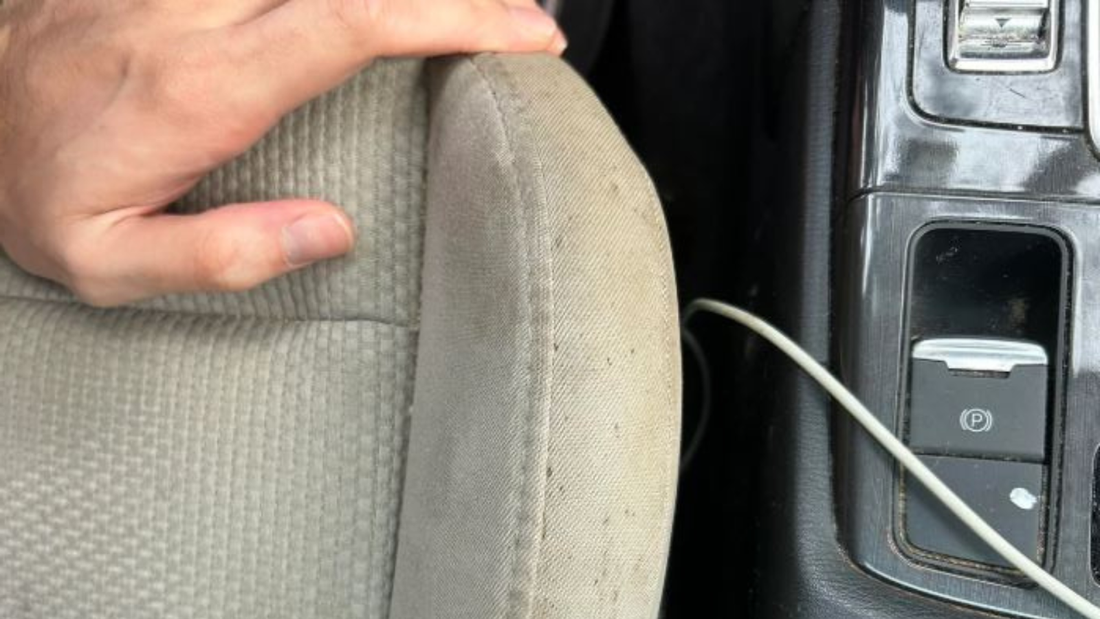Learn how to get mold out of car seats
