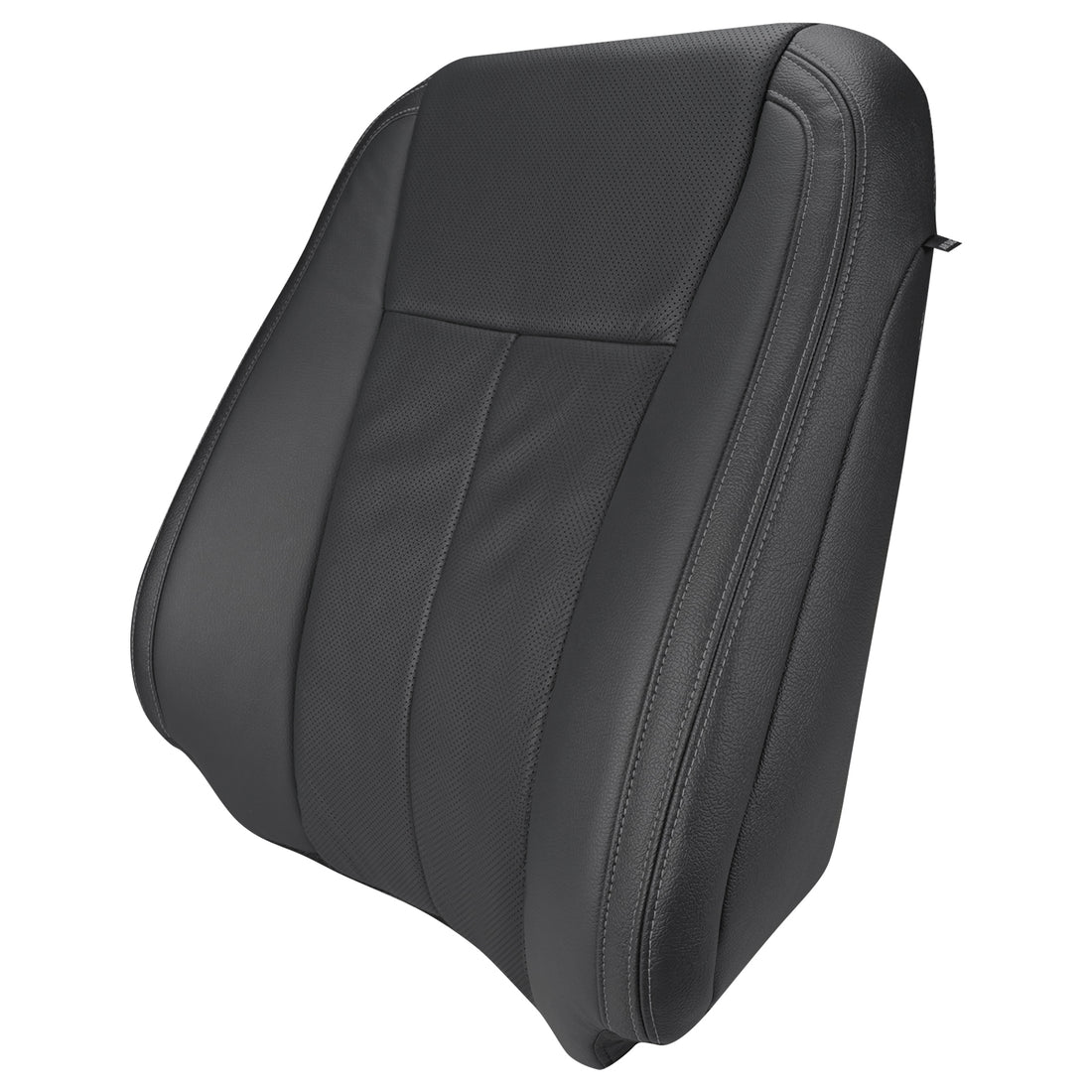 Left angle of driver in Ebony for Ford F150